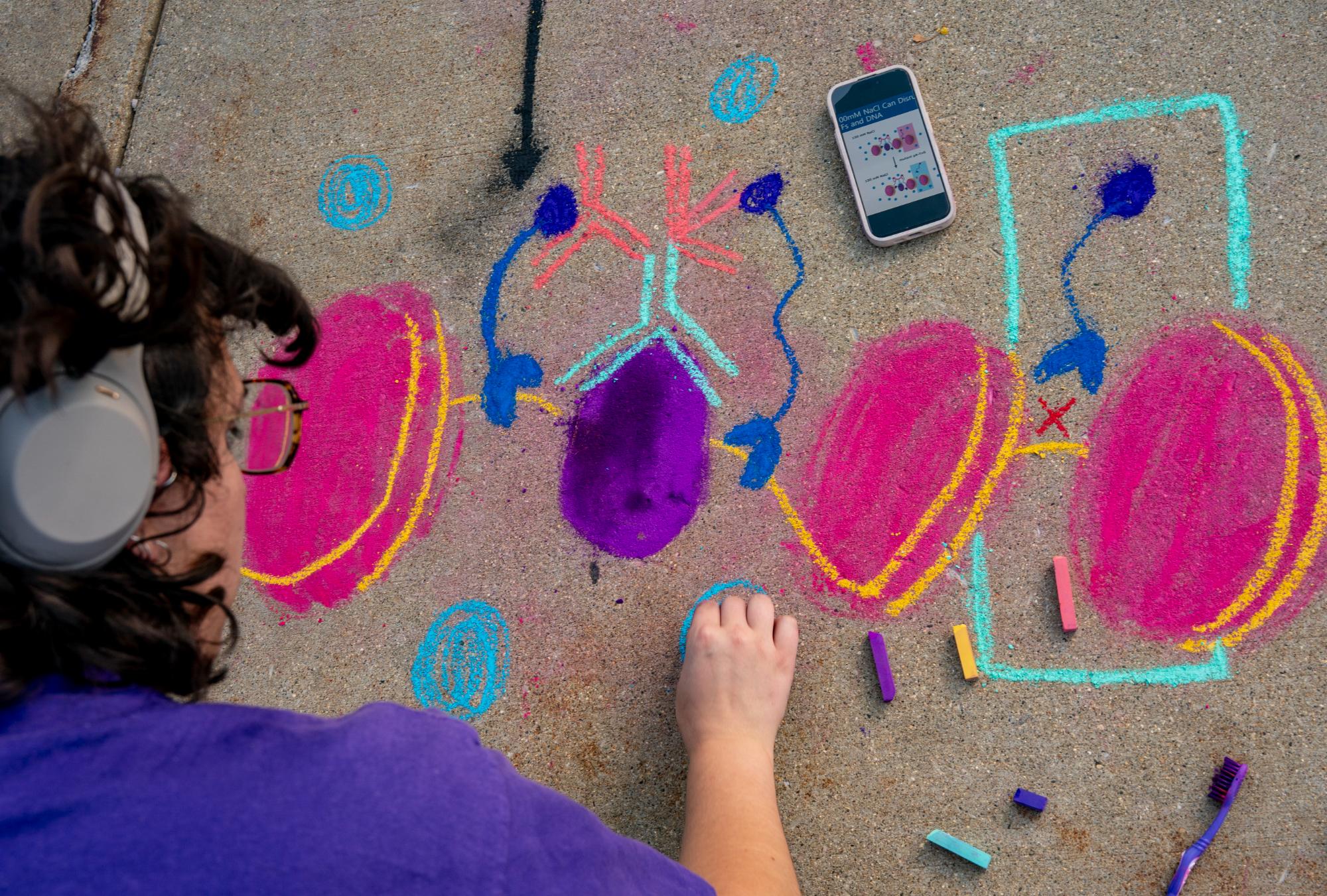 image of posters at Student Scholars day